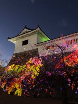 福山城400年博-FUKUYAMA CASTLE EXPO 2022- RCC開局70年 「チームラボ 福山城 光の祭」に投稿された画像（2023/1/3）