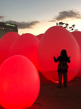 福山城400年博-FUKUYAMA CASTLE EXPO 2022- RCC開局70年 「チームラボ 福山城 光の祭」に投稿された画像（2023/1/3）