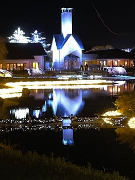 なばなの里に投稿された画像（2023/1/3）