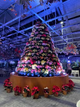 なばなの里に投稿された画像（2023/1/3）