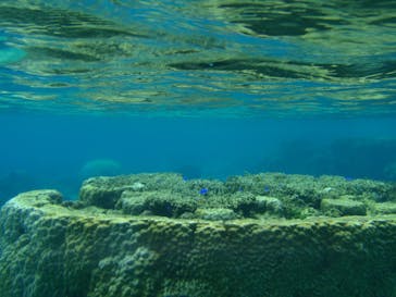 宮古島 ADVENTURE PiPi（ミヤコジマ アドベンチャー ピピ）に投稿された画像（2023/1/3）