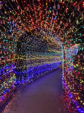 伊豆ぐらんぱる公園に投稿された画像（2023/1/3）