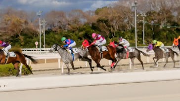園田競馬場に投稿された画像（2023/1/3）