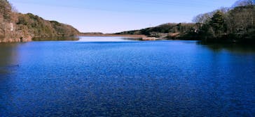 ムーミンバレーパークに投稿された画像（2023/1/3）