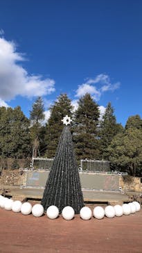 安城産業文化公園デンパークに投稿された画像（2023/1/3）