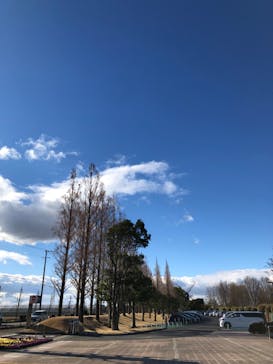 安城産業文化公園デンパークに投稿された画像（2023/1/3）