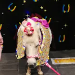 東京メガイルミに投稿された画像（2023/1/3）