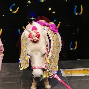 東京メガイルミに投稿された画像（2023/1/3）