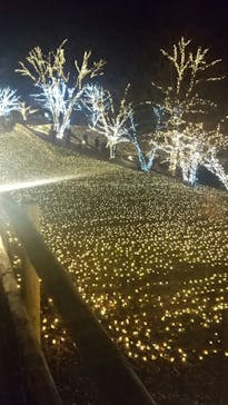 NESTA RESORT KOBE（ネスタリゾート神戸）に投稿された画像（2023/1/3）