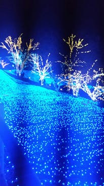 NESTA RESORT KOBE（ネスタリゾート神戸）に投稿された画像（2023/1/3）