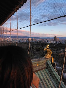 大阪城天守閣に投稿された画像（2023/1/3）