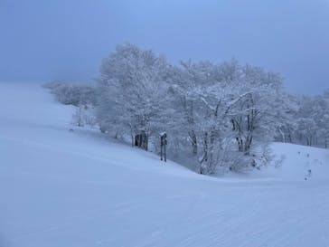 たざわ湖スキー場に投稿された画像（2023/1/3）