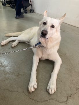 ワールド牧場に投稿された画像（2023/1/3）