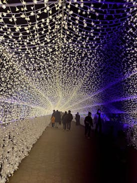 東京メガイルミに投稿された画像（2023/1/3）