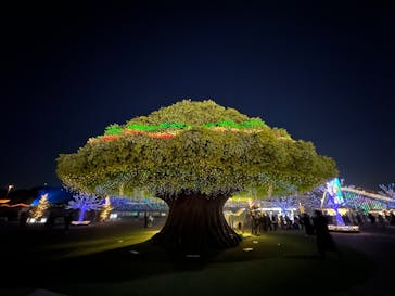 東京メガイルミに投稿された画像（2023/1/3）