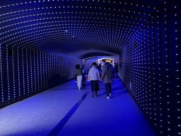 東京メガイルミに投稿された画像（2023/1/3）