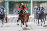 園田競馬場に投稿された画像（2023/1/3）
