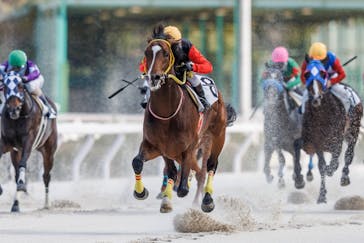 園田競馬場に投稿された画像（2023/1/3）