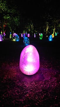 チームラボ ボタニカルガーデン 大阪に投稿された画像（2023/1/3）