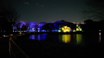 チームラボ ボタニカルガーデン 大阪に投稿された画像（2023/1/3）