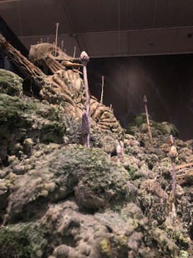 アニメージュとジブリ展に投稿された画像（2023/1/3）