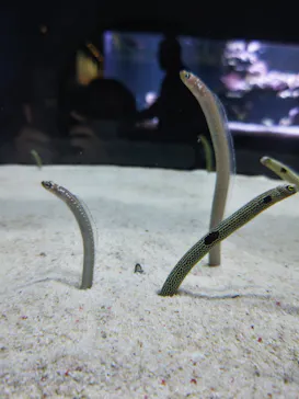 すみだ水族館に投稿された画像（2023/1/3）