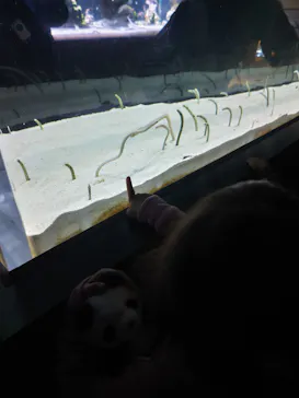 すみだ水族館に投稿された画像（2023/1/3）