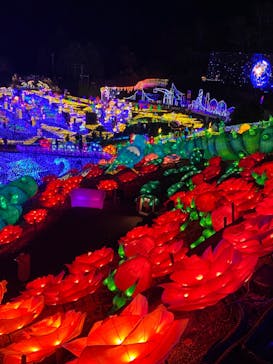 伊豆ぐらんぱる公園に投稿された画像（2023/1/3）