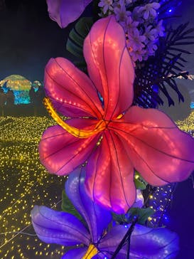 伊豆ぐらんぱる公園に投稿された画像（2023/1/3）