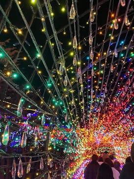 伊豆ぐらんぱる公園に投稿された画像（2023/1/3）