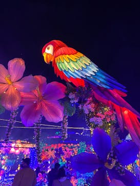 伊豆ぐらんぱる公園に投稿された画像（2023/1/3）