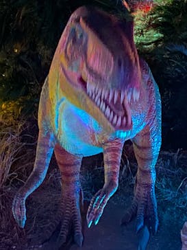 伊豆ぐらんぱる公園に投稿された画像（2023/1/3）