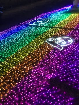 さがみ湖MORI MORIに投稿された画像（2023/1/3）