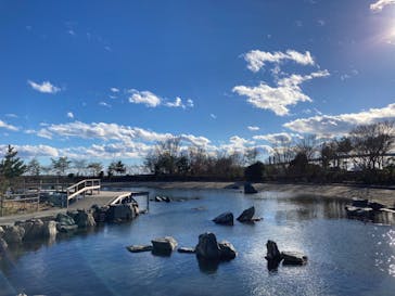 環境水族館アクアマリンふくしまに投稿された画像（2023/1/3）
