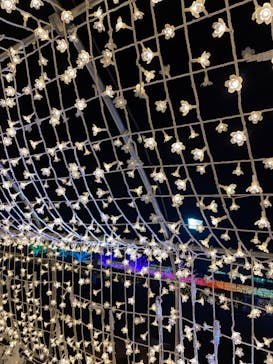 東京メガイルミに投稿された画像（2023/1/3）