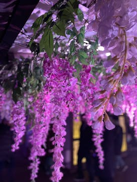 東京メガイルミに投稿された画像（2023/1/3）