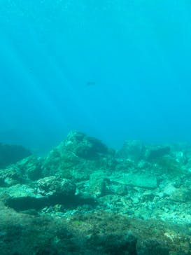 串本海中公園水族館に投稿された画像（2023/1/3）
