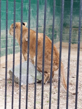 しろとり動物園に投稿された画像（2023/1/3）