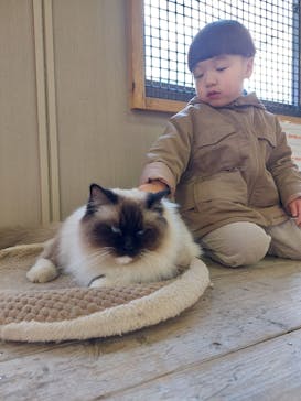 しろとり動物園に投稿された画像（2023/1/3）