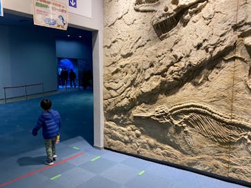 名古屋港水族館に投稿された画像（2023/1/3）