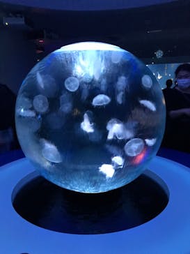 湘南モノレール大船駅に投稿された画像（2023/1/3）