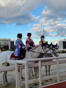 園田競馬場に投稿された画像（2023/1/3）