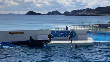 鴨川シーワールドに投稿された画像（2023/1/3）