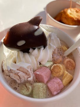 鴨川シーワールドに投稿された画像（2023/1/3）