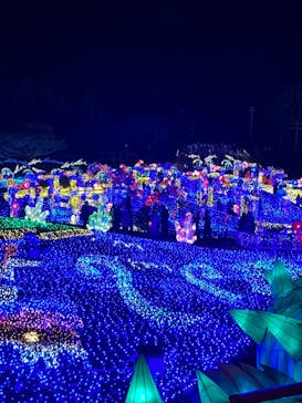 伊豆ぐらんぱる公園に投稿された画像（2023/1/3）