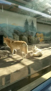 天王寺動物園に投稿された画像（2023/1/3）