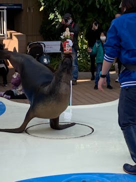 サンシャイン水族館に投稿された画像（2023/1/3）