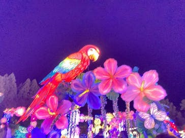 伊豆ぐらんぱる公園に投稿された画像（2023/1/3）