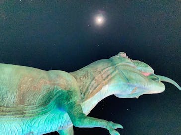 伊豆ぐらんぱる公園に投稿された画像（2023/1/3）