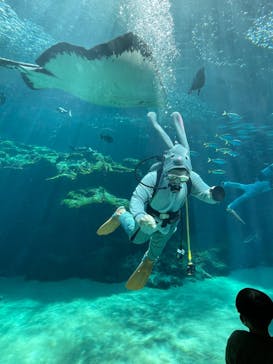 九十九島水族館海きららに投稿された画像（2023/1/3）
